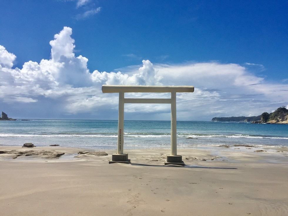 夏の定番